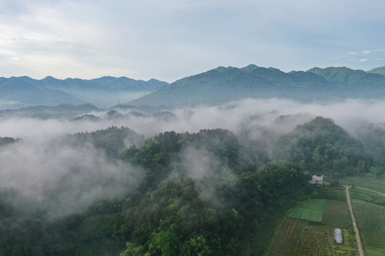 平流雾风光