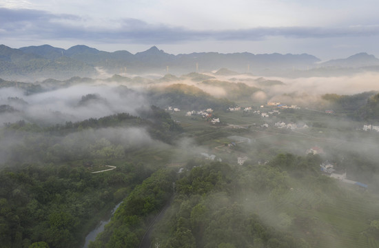 平流雾风光