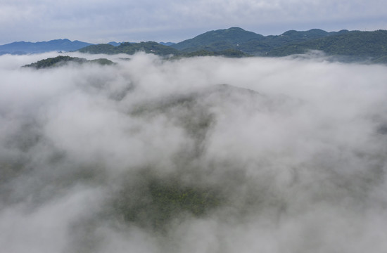 平流雾风景