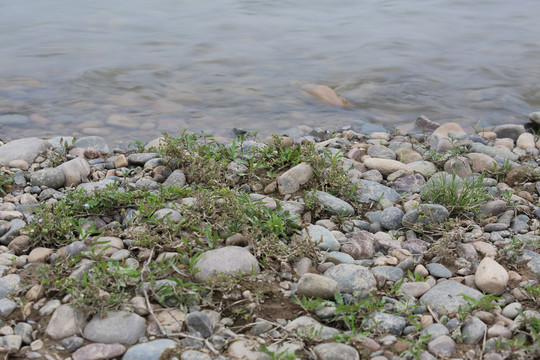 河滩水面鹅卵石