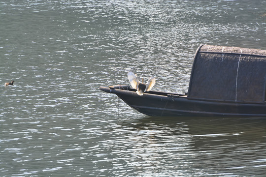 湖边小船