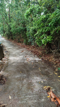 雨后山道