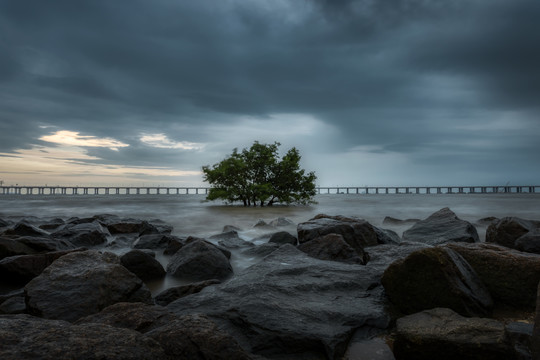 深圳西湾红树林风景