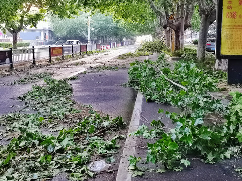 台风过后