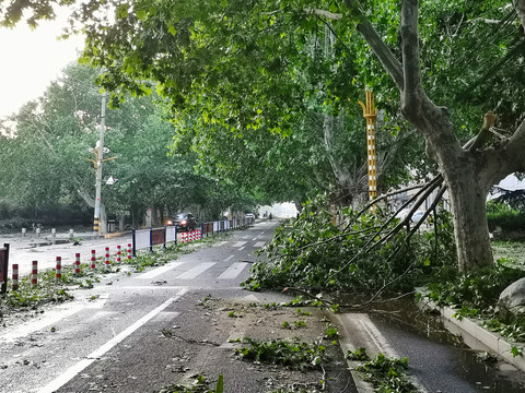 台风过后