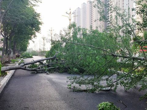 台风过后