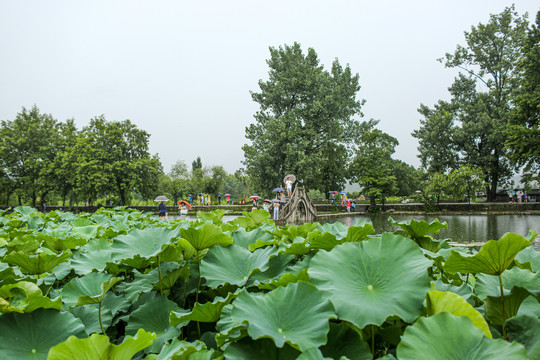 西递宏村旅游风景区