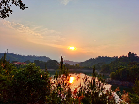 万绿湖光山色