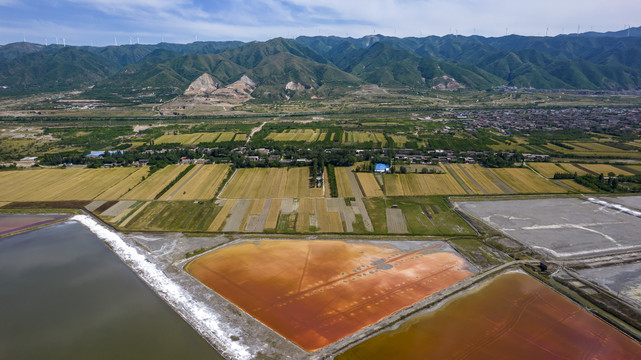 山西运城盐湖麦田