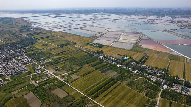 山西运城盐湖麦田