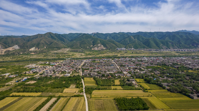 山西运城盐湖麦田