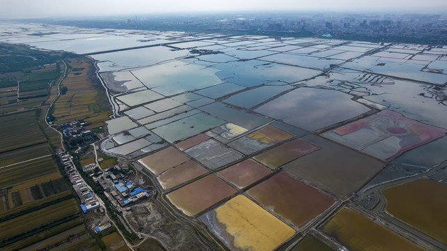 山西运城盐湖麦田