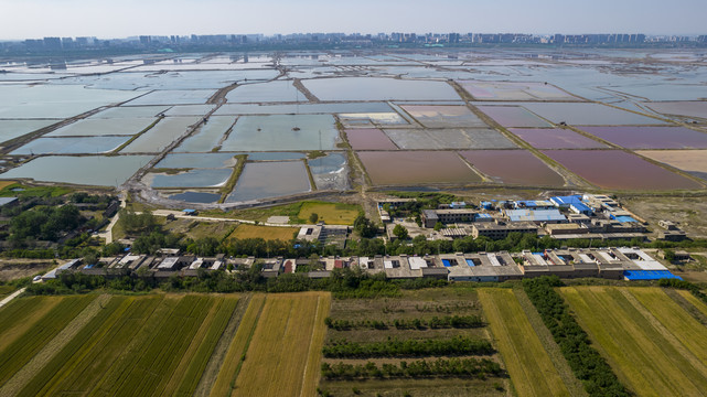 山西运城盐湖麦田