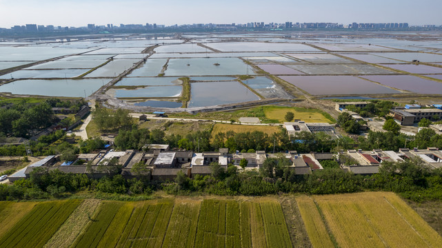 山西运城盐湖麦田