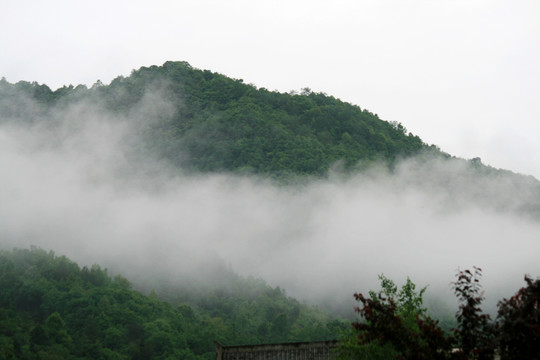 山中晨雾
