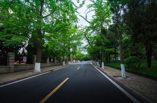 寂静的城市街道