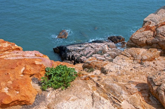海岸海岛岩石