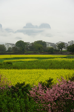 田园风光