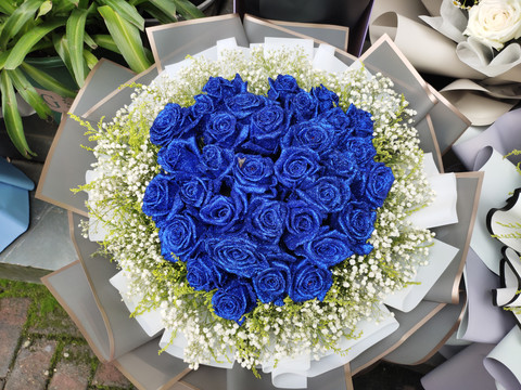 蓝玫瑰花