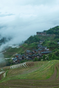 雨后的灌水龙脊梯田