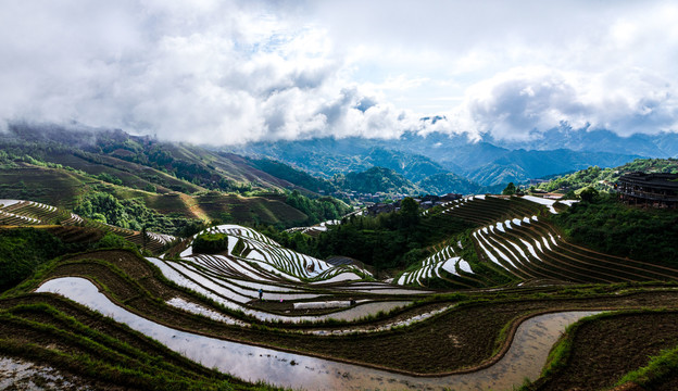 雨后的灌水龙脊梯田