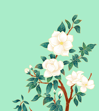 國風茉莉花