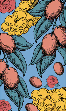 玫瑰桂圆红枣插画图案