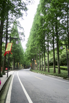 青城山观光公路