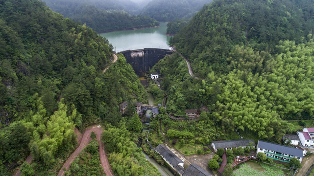 水库森林