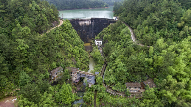 水库森林