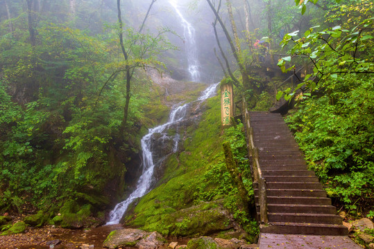 中国湖北神农架金猴岭风景区