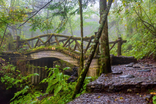 中国湖北神农架金猴岭风景区