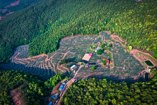 牟定华峰山