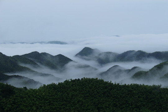 雾在山谷升腾