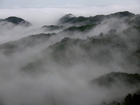 雾锁青山