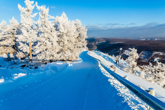 冬季森林积雪公路