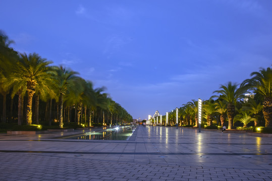 厦门海湾公园夜景