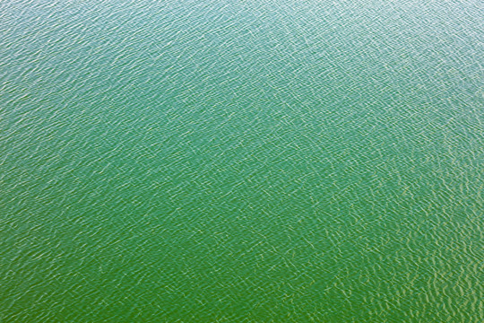 碧绿的水面