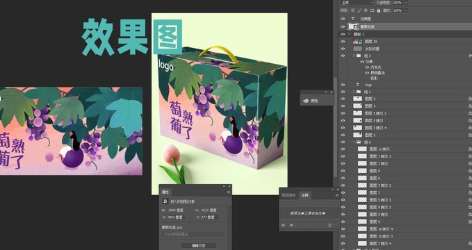 葡萄包裝設(shè)計