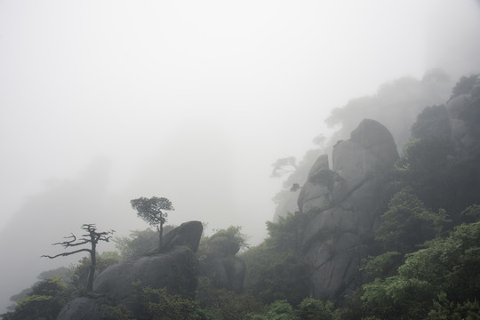 雨雾中的中国江西上饶三清山风光