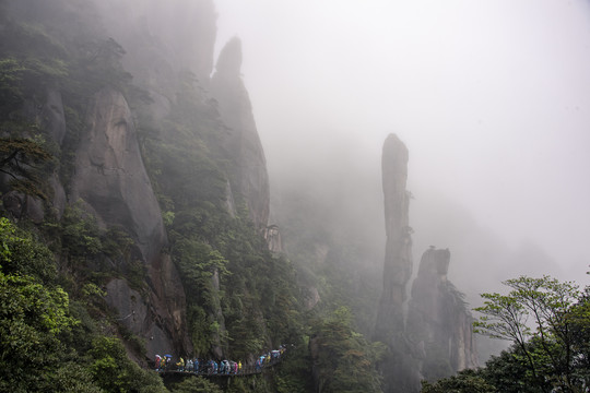 雨雾中的江西三清山巨蟒出山