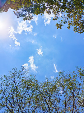 仰望天空