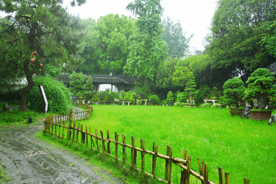 雨中瞻园景观