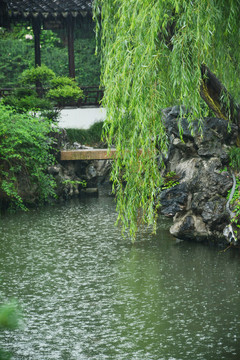 雨中园林