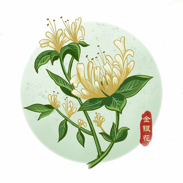 金銀花psd