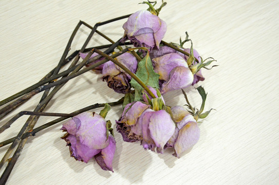 玫瑰干花