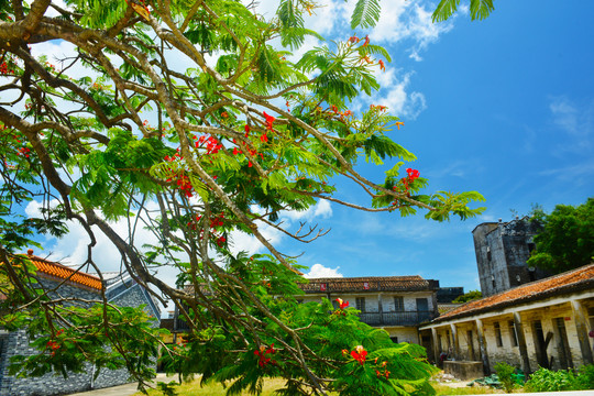 莲溪学校