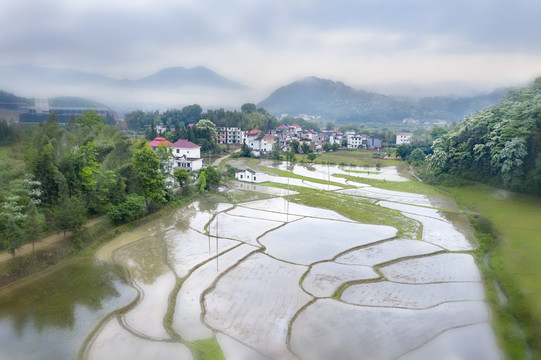 水墨田園