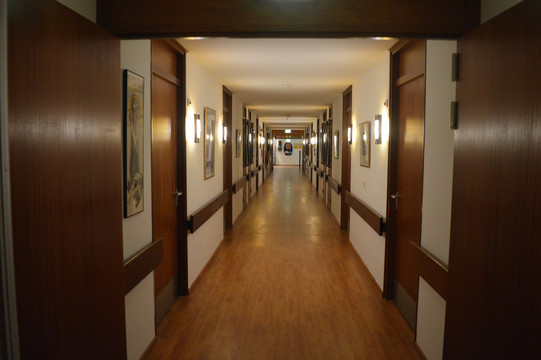 荷兰酒店走廊
