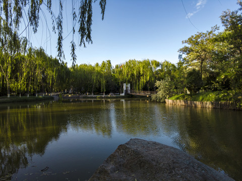 银川中山公园